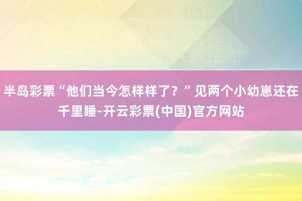 半岛彩票“他们当今怎样样了？”见两个小幼崽还在千里睡-开云彩票(中国)官方网站